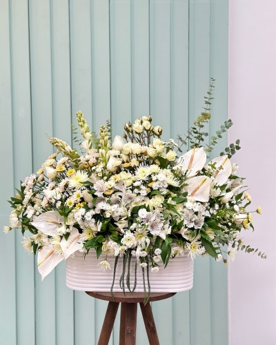 فروشگاه گل و گیاه و گلدان بزرگ کرج