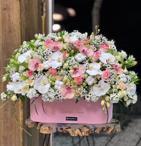 فروشگاه گل و گیاه و گلدان هفت تیر کرج