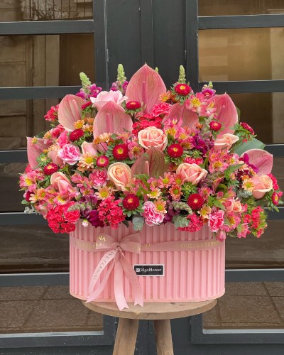 ارزان ترین فروشگاه گل و گیاه و گلدان کرج